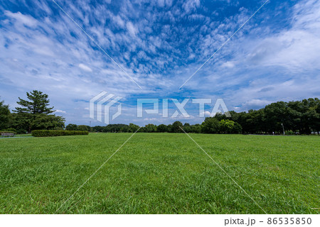 大宮第三公園(さいたま市) 大宮第三公園(さいたま市) 86535850