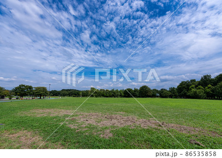 大宮第三公園（さいたま市） 86535858