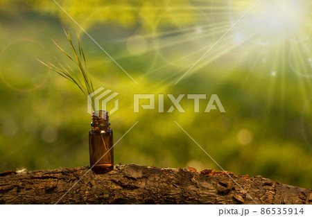 Alternative medicine herb - Copyspace for text. 86535914