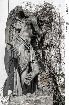 A statue of a mourning angel overgrown with dry ivy. 86536644