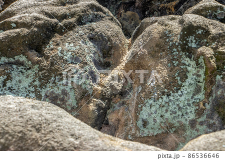 Two stone figures are kissing. A statues in a baroque garden. 86536646