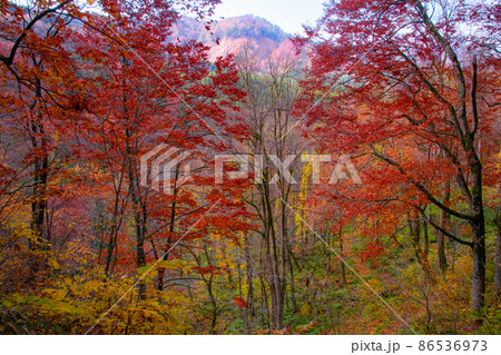 森吉山　立又渓谷の紅葉　秋田県北秋田市 86536973
