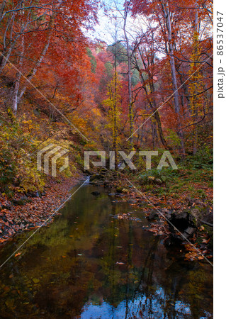 紅葉の森吉山　立又渓谷の秋　秋田県北秋田市 86537047
