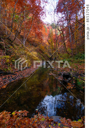紅葉の森吉山　立又渓谷の秋　秋田県北秋田市 86537048