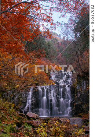 秋の森吉山　紅葉の立又渓谷　二の滝　秋田県北秋田市 86537082