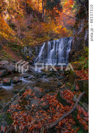 紅葉の立又渓谷　二の滝　秋田県北秋田市 86537310