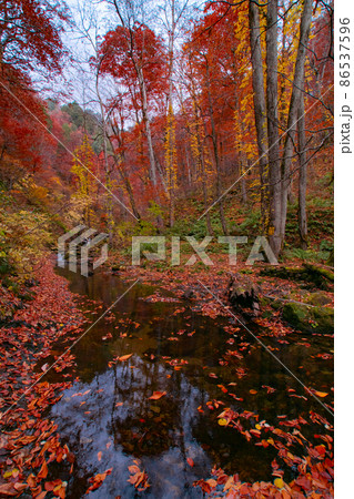紅葉の立又渓谷の風景　秋田県北秋田市 86537596