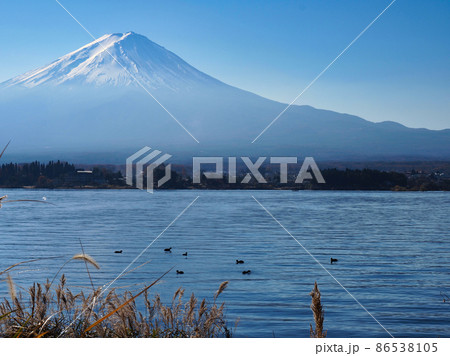晩秋の富士山と紅葉 晩秋の富士山と紅葉 86538105