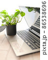 パソコンと植物 86538696