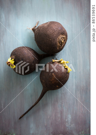 Black radish, top view Black radish, top view 86539691