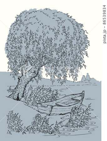 Vector drawing. Old boat on the lake under the branches of a willow 86539834