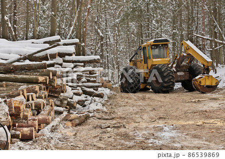 Log or Logging Skidder with Freshly Harvested and piled timber logs Log or Logging Skidder with Freshly Harvested and piled timber logs 86539869