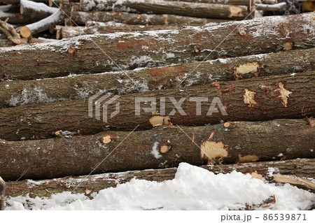 Side View of Freshly Harvested Timber in a pile Side View of Freshly Harvested Timber in a pile 86539871
