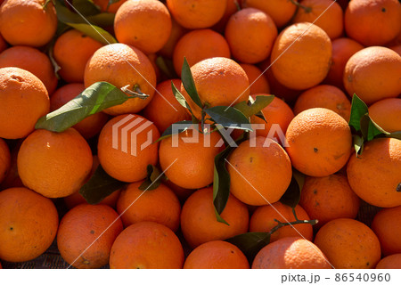 Full Frame Shot Of Oranges. Oranges For Sale At Market Stall 86540960