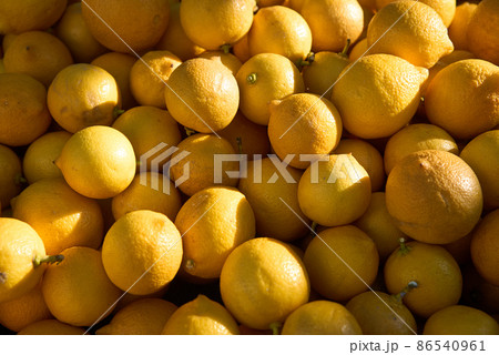 Full Frame of Fresh juicy lemons on the farmers market. Full Frame of Fresh juicy lemons on the farmers market. 86540961
