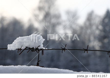 Barbed wire on the fence against light background in the winter cloudy day. 86541167