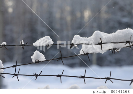 Barbed wire on the fence against light background in the winter cloudy day. 86541168