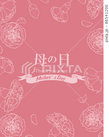 母の日 86541200