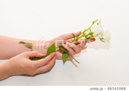 Beauty woman hands with white rose flowers on table. Natural cosmetic product 86542068