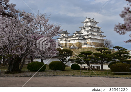日本の兵庫県の姫路市　世界遺産で国宝でもある姫路城　春の桜と立派な天守閣 86542220