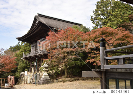 醍醐寺　如意輪堂 86542465