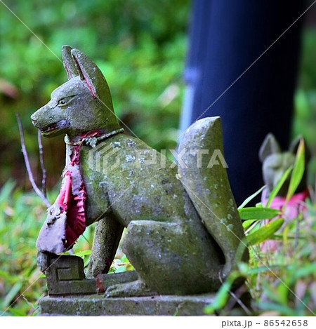 稲荷大社　お狐さま 86542658