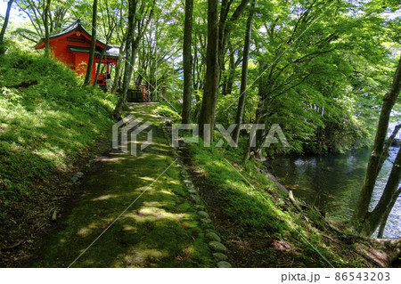 芦ノ湖の箱根神社 86543203