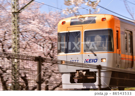 高井戸駅付近 井の頭線と桜 高井戸駅付近 井の頭線と桜 86543533