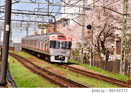 高井戸駅付近 井の頭線全車両と桜 高井戸駅付近 井の頭線全車両と桜 86543575