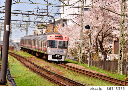 高井戸駅付近 井の頭線全車両と桜 高井戸駅付近 井の頭線全車両と桜 86543576