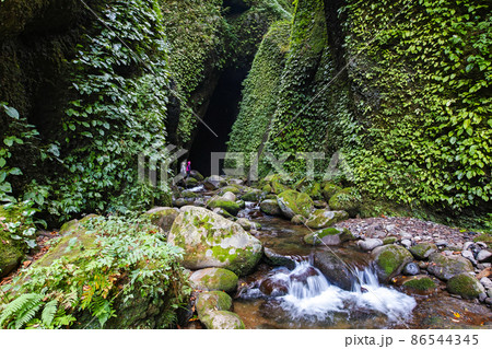 兵庫県/ ※(規模比較のため人入り)洞窟の中にある神秘的な滝「シワガラの滝」入口部 兵庫県/ ※(規模比較のため人入り)洞窟の中にある神秘的な滝「シワガラの滝」入口部 86544345