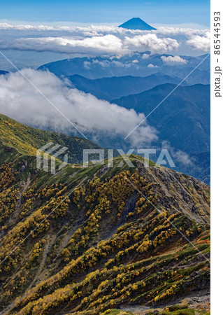 南アルプス・北岳山頂からダケカンバの黄葉の池山尾根と雲上の富士山 86544593
