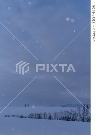 北海道美瑛町 夜明け前の小雪舞う美瑛の丘 親子の木と二十三夜の月 北海道美瑛町 夜明け前の小雪舞う美瑛の丘 親子の木と二十三夜の月 86544656