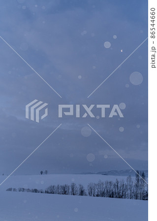 北海道美瑛町 夜明け前の小雪舞う美瑛の丘 親子の木と二十三夜の月 北海道美瑛町 夜明け前の小雪舞う美瑛の丘 親子の木と二十三夜の月 86544660