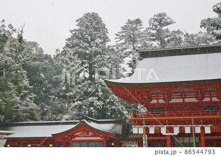 雪の東国三社 雪の東国三社 86544793