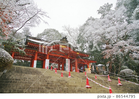 雪の東国三社 雪の東国三社 86544795