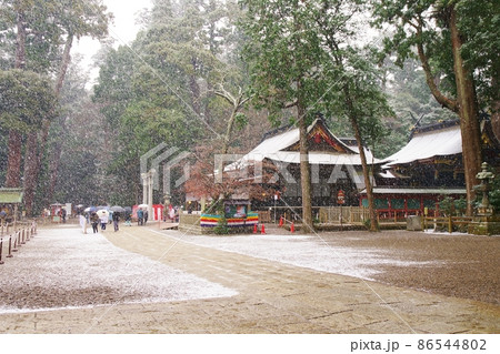 雪の東国三社 86544802