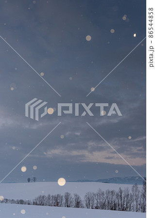 北海道美瑛町 夜明け前の小雪舞う美瑛の丘 親子の木と二十三夜の月 北海道美瑛町 夜明け前の小雪舞う美瑛の丘 親子の木と二十三夜の月 86544858