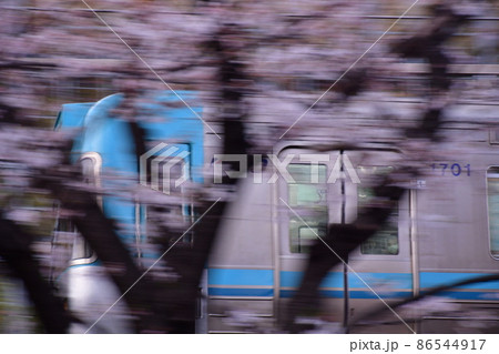 高井戸駅付近 井の頭線と桜 高井戸駅付近 井の頭線と桜 86544917