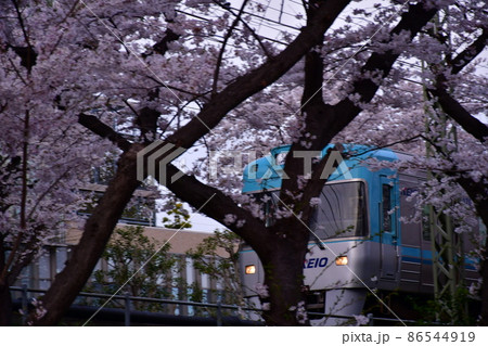 高井戸駅付近 井の頭線と桜 高井戸駅付近 井の頭線と桜 86544919