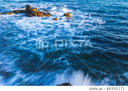 茨城県日立市　初崎海岸の岩場 86545271