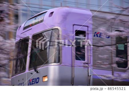 高井戸駅付近　井の頭線と桜 86545521