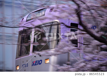 高井戸駅付近　井の頭線と桜 86545523