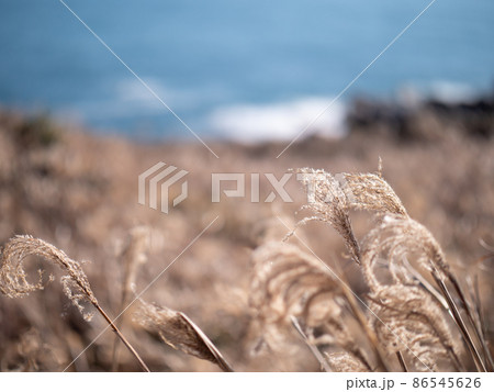 海辺の冬の風景　犬吠埼 86545626