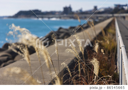 茨城県日立市　浜の宮ロードパーク 86545665