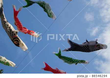 青空の「こいのぼり」 86546294