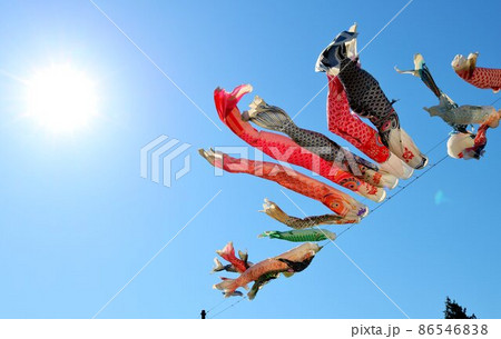 風が強すぎてうまく泳げませんが　こいのぼり　風景 86546838