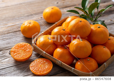 冬の味覚 とっても甘くておいしい蜜柑せとかみかん 温州みかん 冬の味覚 とっても甘くておいしい蜜柑せとかみかん 温州みかん 86547608