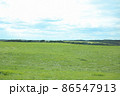 地平線まで広がる牧場、北海道より 86547913