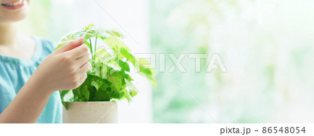 植物を見る女性　環境イメージ　サステナブル　SDGs 86548054